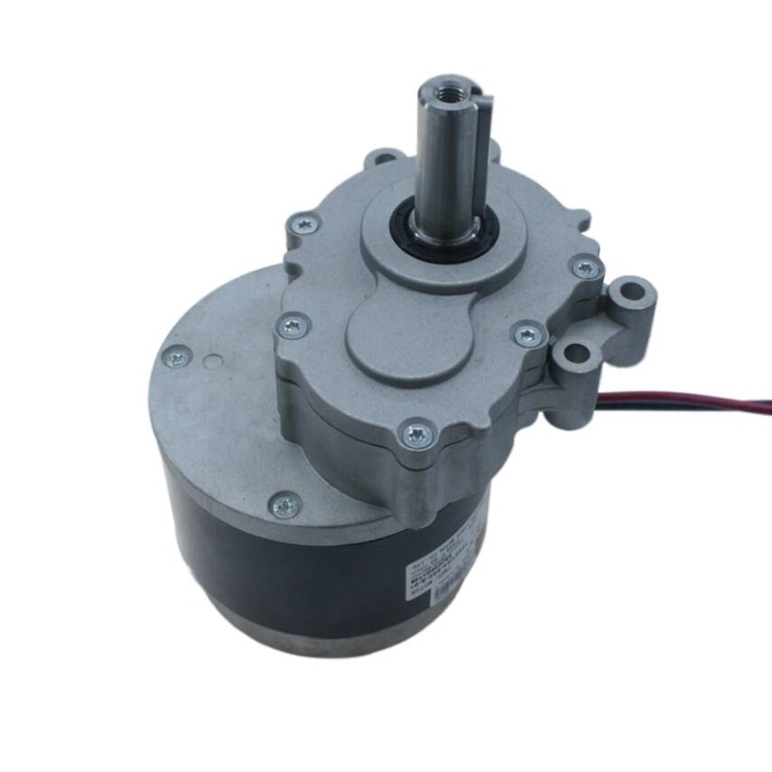 102ZY24-250-A-01 24V 82Rpm High Torque Bicycle Motor - 1
