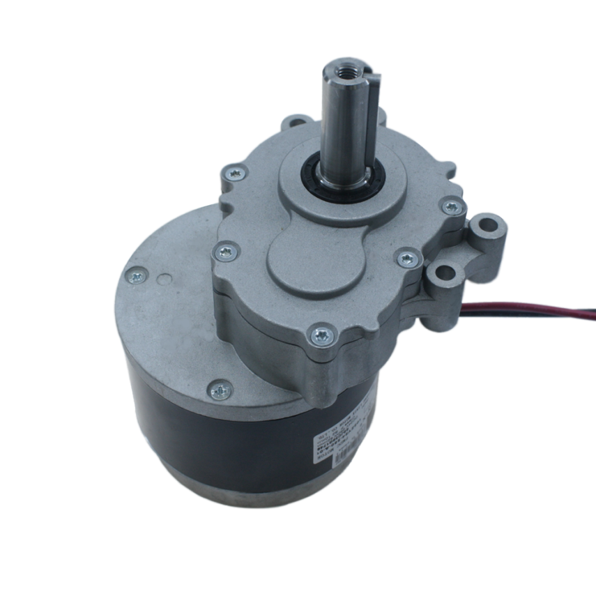 102ZY24-250-A-01 24V 82Rpm Yüksek Torklu Bisiklet Motoru - 2