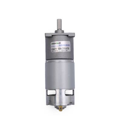 KGA-42FM 24V 22RPM Geared DC Motor - Keskinler