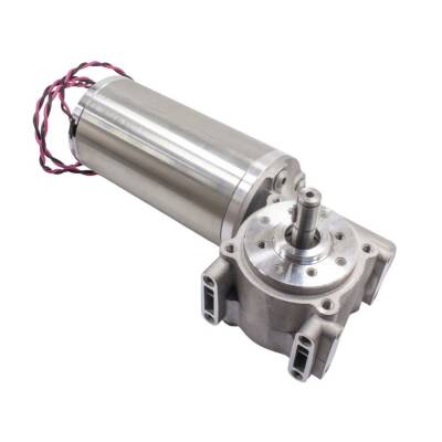 63ZYT24-95/31 24V 95W 100RPM Automatic Door Motor (Without Encoder) - 2