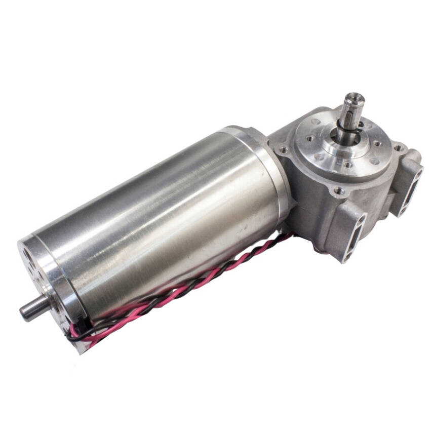 63ZYT24-95/31 24V 95W 225RPM Automatic Door Motor - 2