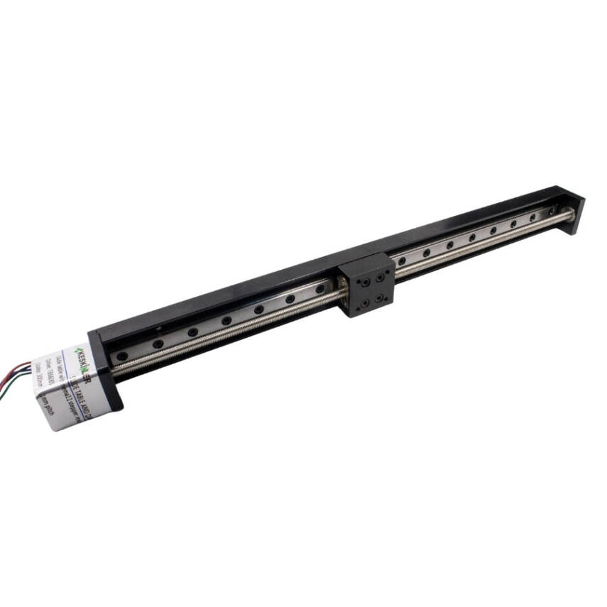 DXG NEMA11 300mm Lineer Hareket Modülü - 2