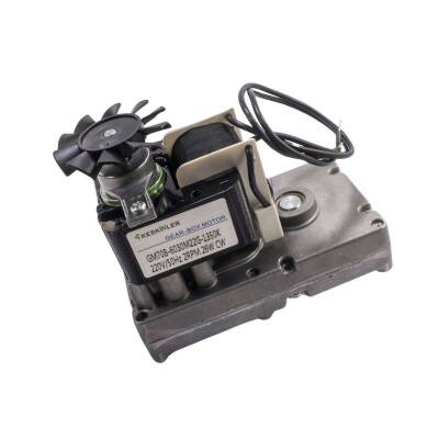 GM-70 220V AC 2RPM Redüktörlü Motor - 1