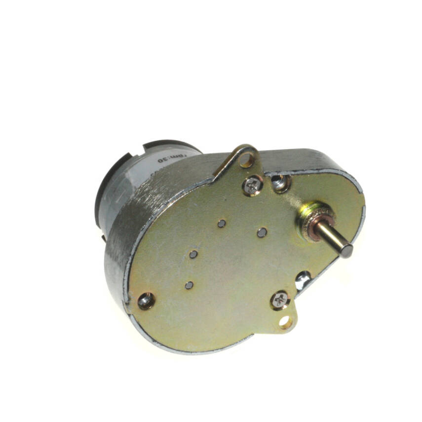 KS-RI 24V 30RPM DC Gear Motor - 2