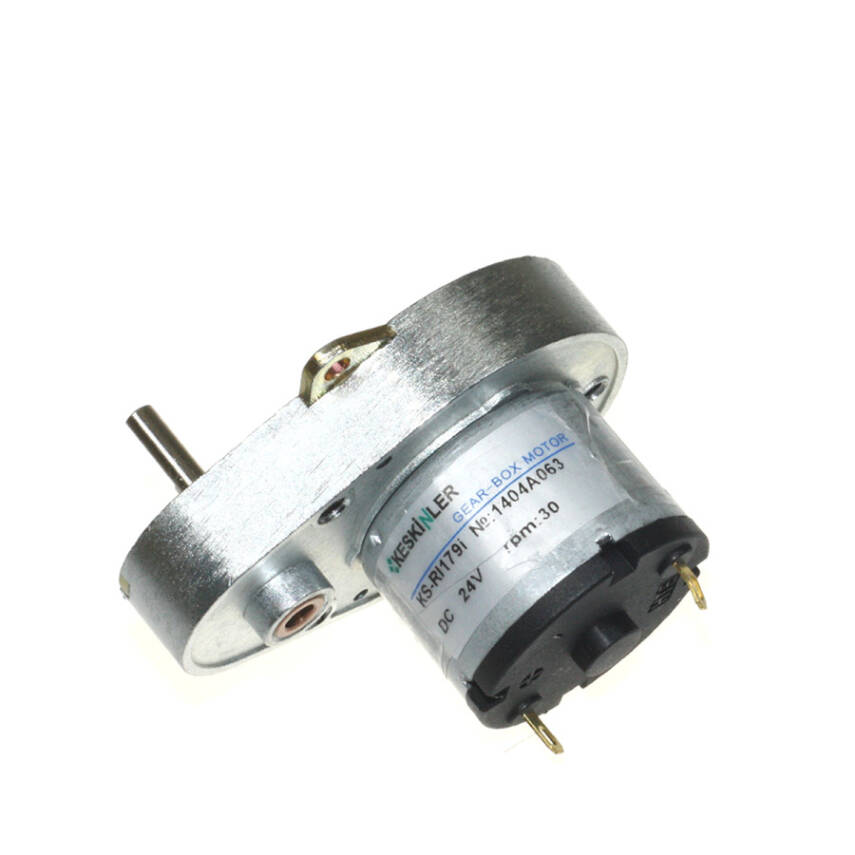 KS-RI 24V 30RPM Geared DC Motor - 1