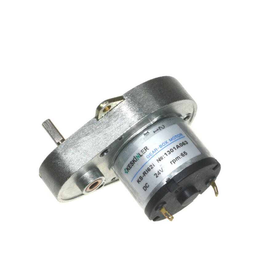 KS-RI 24V 65RPM DC Gear Motor - 1