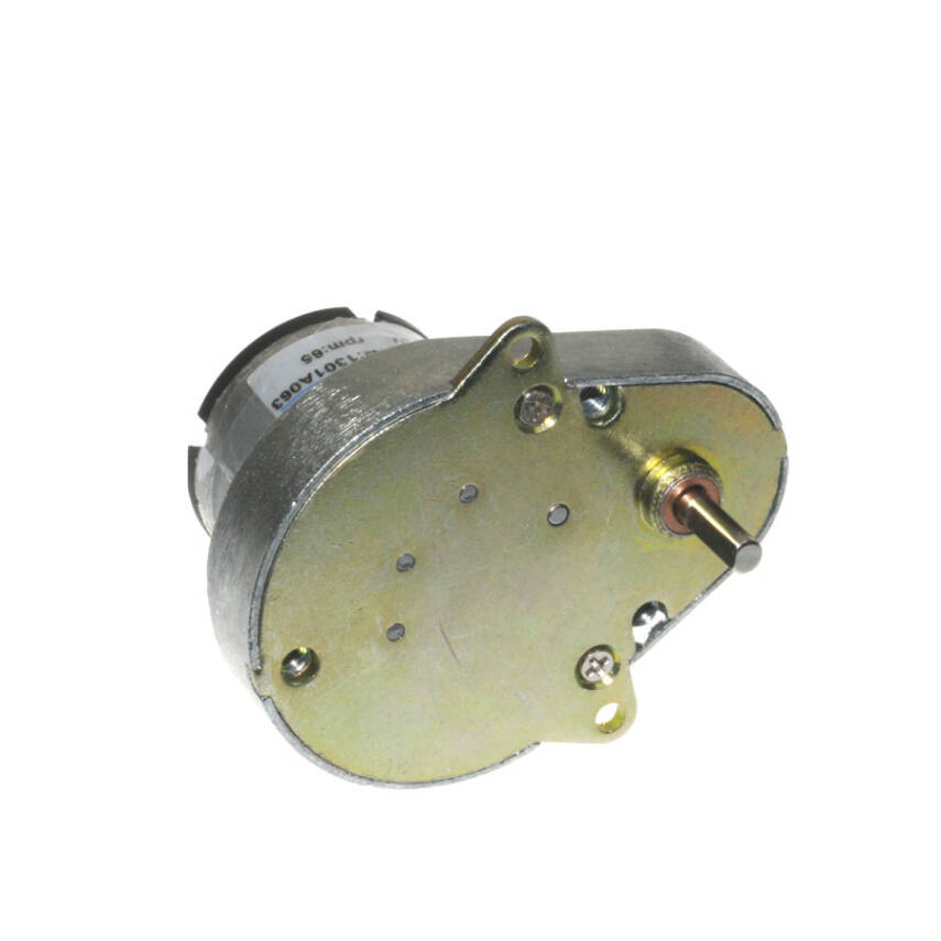 KS-RI 24V 65RPM DC Gear Motor - 2