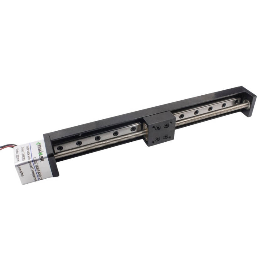 DXG NEMA11 200mm Linear Motion Module - 2