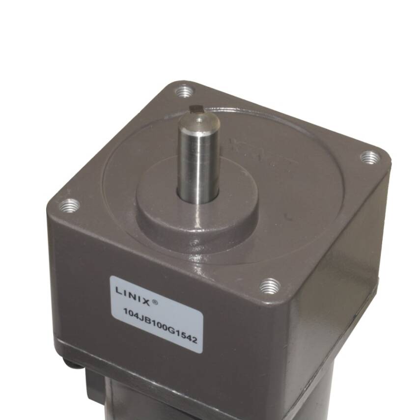 YN100-140 220V 52RPM AC Motor - 3
