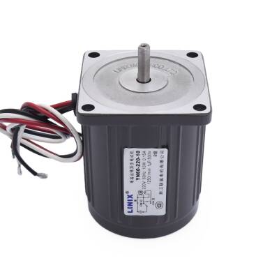 YN60-220-10 220V 1250RPM AC Motor - 3