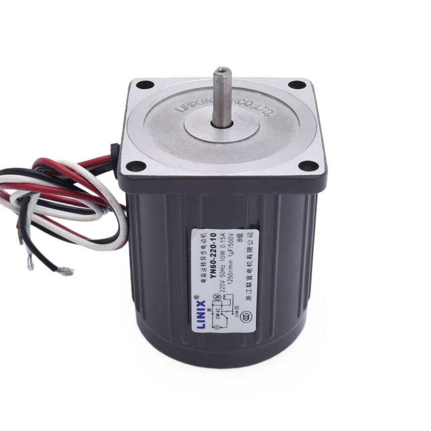 YN60-220-10 220V 1250RPM AC Motor - 3