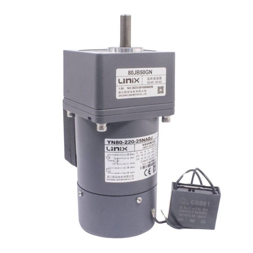 YN80-220-25 220V 13RPM Brake AC Motor - 80JB100GN - 2