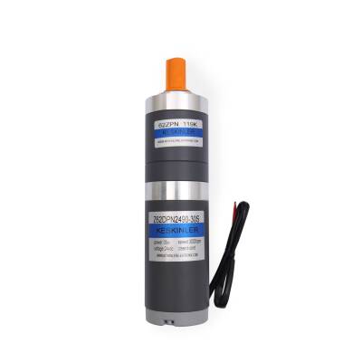 Z62DPN2490-30S 24V 25RPM Planet Redüktörlü Dc Motor - 1